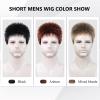 SEVENCOLORS Mens Wig Short Auburn Wigs for Men Natural Layered Reddish Synthetic Wigs Daily Cosplay Costume Buzz Cut Male Wig(Auburn)