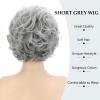 SEVENCOLORS Short Blonde Curly Wigs for White Women Natural Looking Blonde Wavy Wigs with Dark Roots Synthetic Hair Short Womens Wig(Mixed gray)