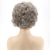SEVENCOLORS Short Blonde Wigs for White Women Synthetic Hair Mixed Brown Wigs with Bangs Natural Layered Pixie Cut Wig for Women(grey curly wig)