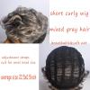 SEVENCOLORS Short Grey Curly Wigs for Black Women Pixie Cut Wave Wigs Synthetic Hair Short Gray Mixed Blonde Wigs Natural Looking