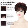 SEVENCOLORS Short Pixie Wigs for Women Layered Natural Looking Dark Brown Wig with Grey Highlights Synthetic Short Hair Womens Wigs(Dark brown)