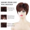 SEVENCOLORS Short Pixie Wigs for Women Layered Natural Looking Dark Brown Wig with Grey Highlights Synthetic Short Hair Womens Wigs(Mixed brown)