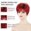 SEVENCOLORS Short Pixie Wigs for Women Layered Natural Looking Dark Brown Wig with Grey Highlights Synthetic Short Hair Womens Wigs(Ombre red)