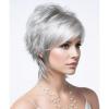 Gray Pixie Cut
